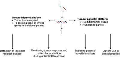 Editorial: Recent advances in liquid biopsy in colorectal cancer